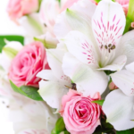 magazin-de-flori-online
