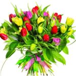 curcubeu-buchet-lalele-multicolore_2