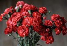 15 februarie – Ziua comemorării celor căzuţi în războiul din Afganistan Veteranii