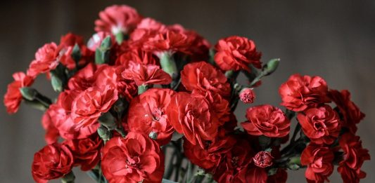 15 februarie – Ziua comemorării celor căzuţi în războiul din Afganistan Veteranii