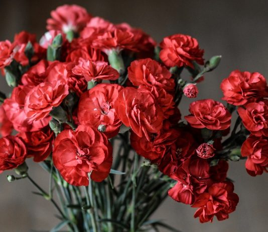 15 februarie – Ziua comemorării celor căzuţi în războiul din Afganistan Veteranii