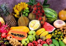 Expoziția internațională “Macfrut – Fruit & Veg Professional Show” Mac frut expozitie