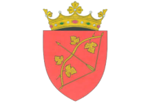 Hîncești – poarta de vest a Republicii Moldova! Stema raionului Hîncești