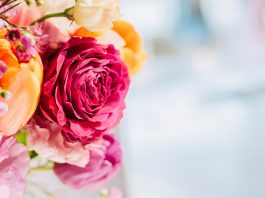 Stimate Domnule Ioan CIUNTU