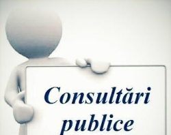 Procesul decizional – consultări publice consultări publice