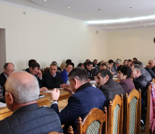 Întrunirea lunară a conducerii raionului Hîncești cu primarii localităților