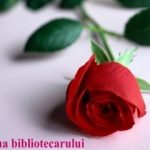 0_bibl