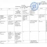 planul de activitate pentru luna mai 2019