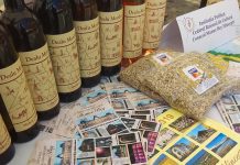 Expoziția „Republica Moldova Prezintă Brașov – 2019”, România. Republica Moldova Prezintă Brașov