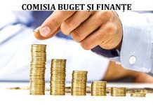 Comisia buget şi finanţe Buget si finante