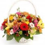 images (1)