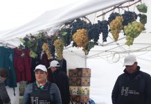 Producătorii din Raionul Hîncești și-au expus produsele alese la Iași, Romania