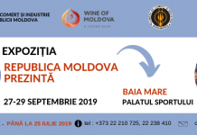 Expoziția ”Republica Moldova Prezintă” cucerește piața din Baia Mare, România!