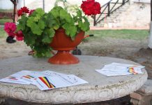 Ziua Cooperării Europene 2019 manuk bey