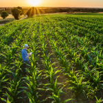 ziua agricultorului