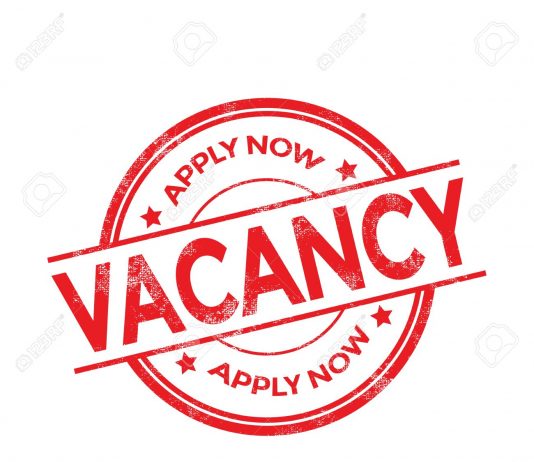 Funcții vacante: Șef secție rapoarte și analiză în sistemul bugetar, contabil șef – 1 funcție vacantă.