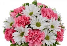 Felicitare pentru dl Timotei BĂTRÎNU, mare artist plastic din Republica Moldova, Cetăţean de Onoare al raionului Hînceşti flori