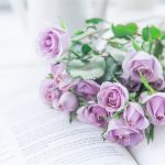 thumb2-purple-roses-flowers-on-a-book-roses-mood-background-with-roses