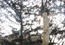 32 de ani de la retragerea forțelor armate din Afganistan.