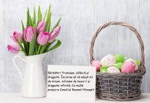 Felicitare cu prilejul sărbătorilor Pascale!