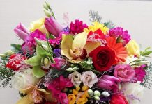 Mult stimată Doamnă Ludmila SFÎRLOAGĂ, Ex – vicepreşedinte al Consiliului Judeţului Prahova, România, Cetăţean de Onoare al raionului Hînceşti