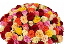 𝐌𝐞𝐬𝐚𝐣 𝐝𝐞 𝐟𝐞𝐥𝐢𝐜𝐢𝐭𝐚𝐫𝐞 𝐜𝐮 𝐨𝐜𝐚𝐳𝐢𝐚 𝐇𝐫𝐚𝐦𝐮𝐥𝐮𝐢 𝐬𝐚𝐭𝐮𝐥𝐮𝐢 Horjești. Com. Cărpineni și satul Secărenii Noi, com. Secăreni !