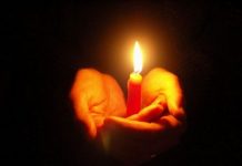 Necrolog !