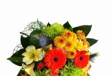 Felicitare pentru domnul Director al IMSP Spitalul Clinic al MSMPS, ex-director al IMSP Spitalul raional Hînceşti, Cetăţean de Onoare al raionului Hînceşti,dl Ţurcanu Gheorghe