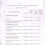 plan achizitie 1