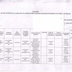 raport 1