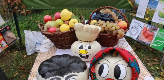 ,, Toamna Aurie 2022 ”