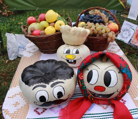 ,, Toamna Aurie 2022 ”