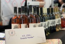 COMUNICAT – EXPO IAȘI 2022