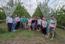 A II-a întrunire regională în r. Hîncești a fermierilor pentru obținerea granturilor oferite de UCIP IFAD