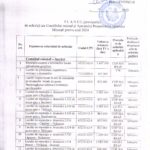 plan provizoriu achizitie 2024
