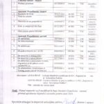 plan provizoriu achizitie 2024 part 2