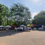 pproiect CJ maramures