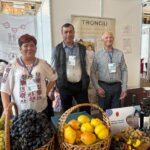 214bfda0-b3c6-418e-a48d-13ff814f6805