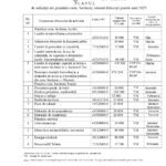 Plan achiziții,2025.signed.signed_page-0001