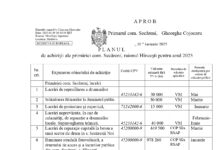 PLANUL de achiziții ale primăriei com. Secăreni, raionul Hîncești pentru anul 2025