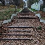 8d6b70d4-66ec-4f58-80ab-7f970704d5ae