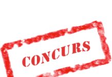 Concursul Bunelor Practici în Domeniul Tineret – 2025